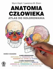 Anatomia człowieka. Atlas do kolorowania, Kapit Wynn,Elson Lawrence M.