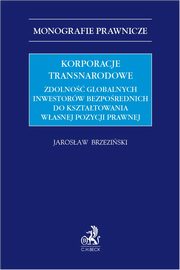 Korporacje transnarodowe. Zdolność globalnych inwestorów bezpośrednich do kształtowania własnej pozy, dr Jarosław Brzeziński